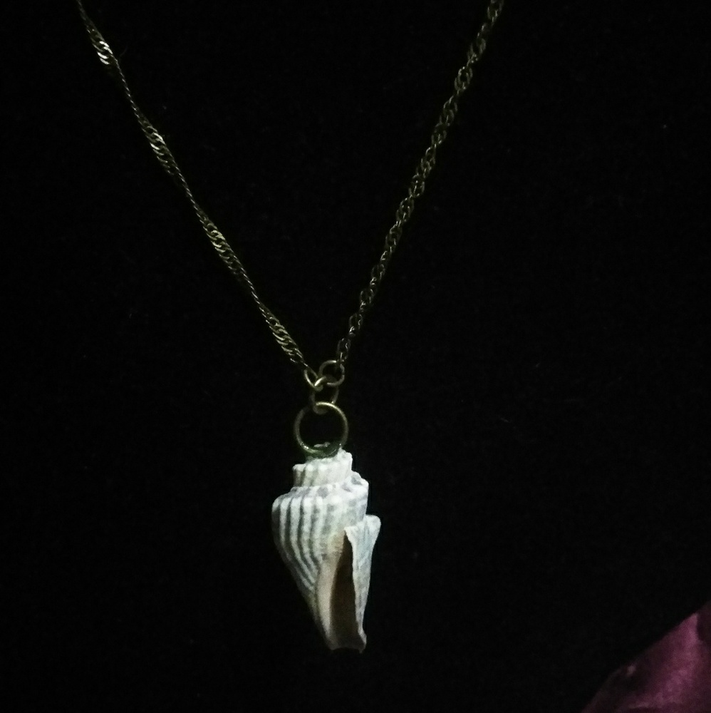 Natural Florida shell necklace in gold tone